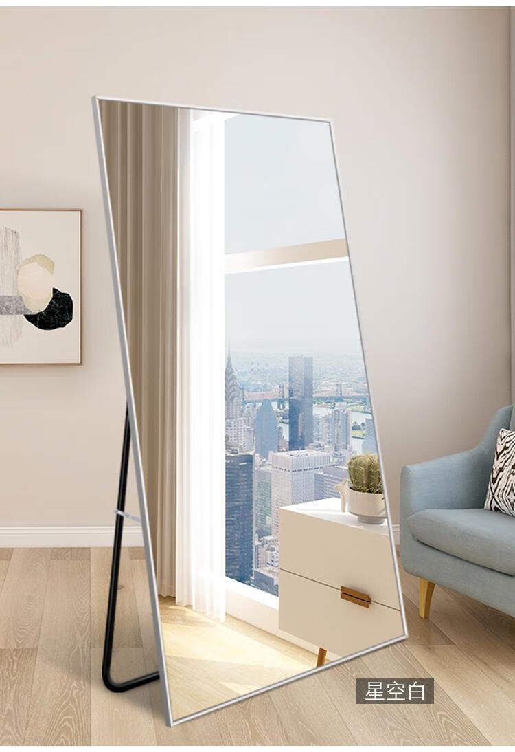 穿衣镜网红全身镜女家用落地镜卧室少女穿衣镜服装店大镜子试衣镜玫瑰