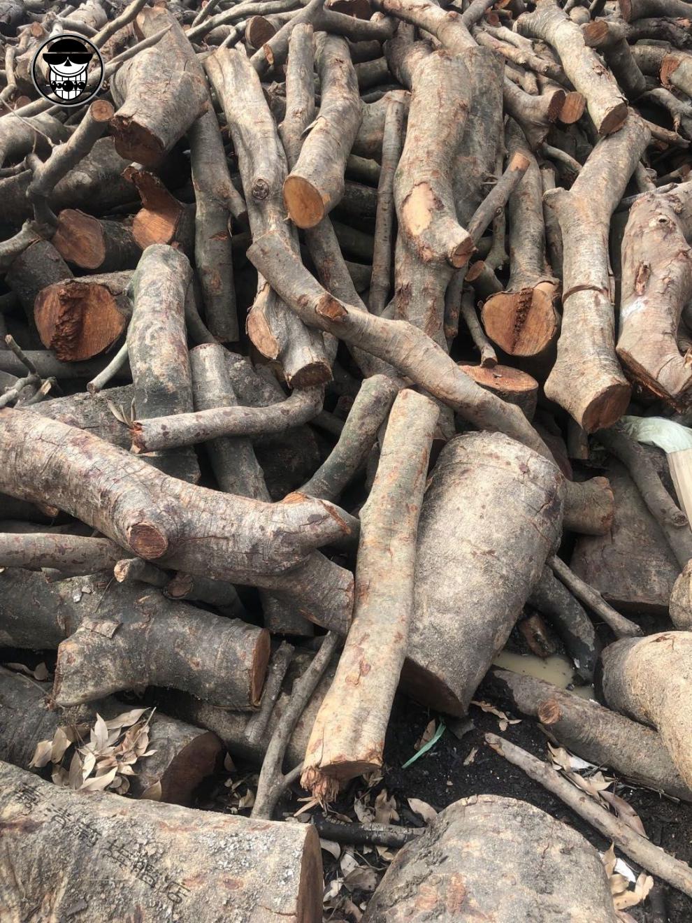 壁炉木柴柴火户外烧烤篝火野炊灶壁炉荔枝木柴客厅装饰柴5斤装10斤