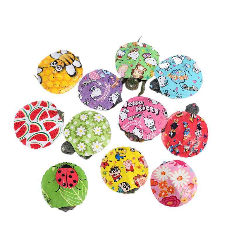 【店铺推荐】炫彩小乌龟七彩小乌龟网红小乌龟彩色小乌龟活物宠物七彩