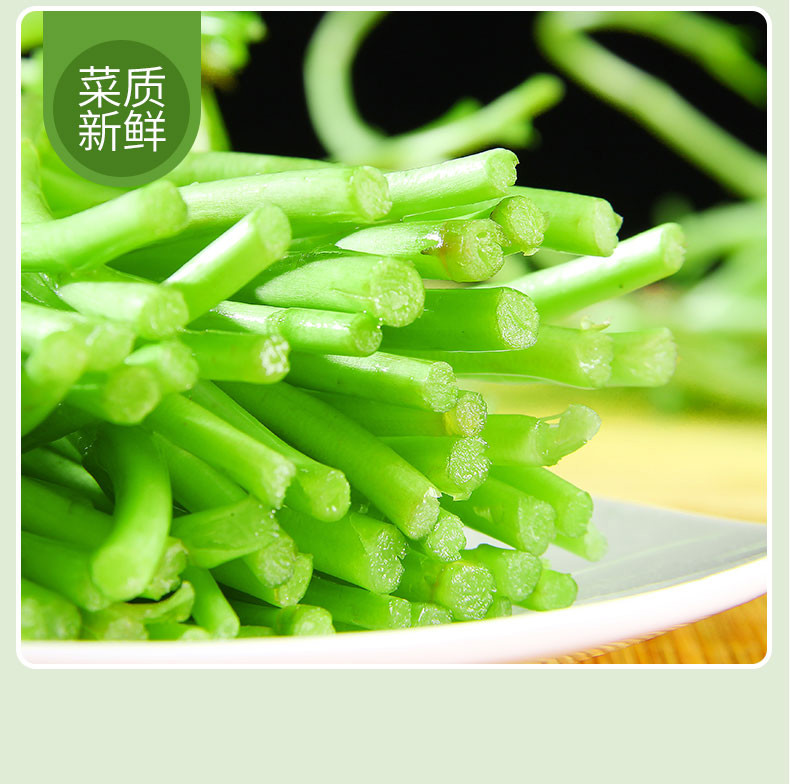 晨臻湖北洪湖芦蒿 蔬菜去根去叶农家当季新鲜黎蒿篱蒿藜蒿嫩泥蒿蓠蒿