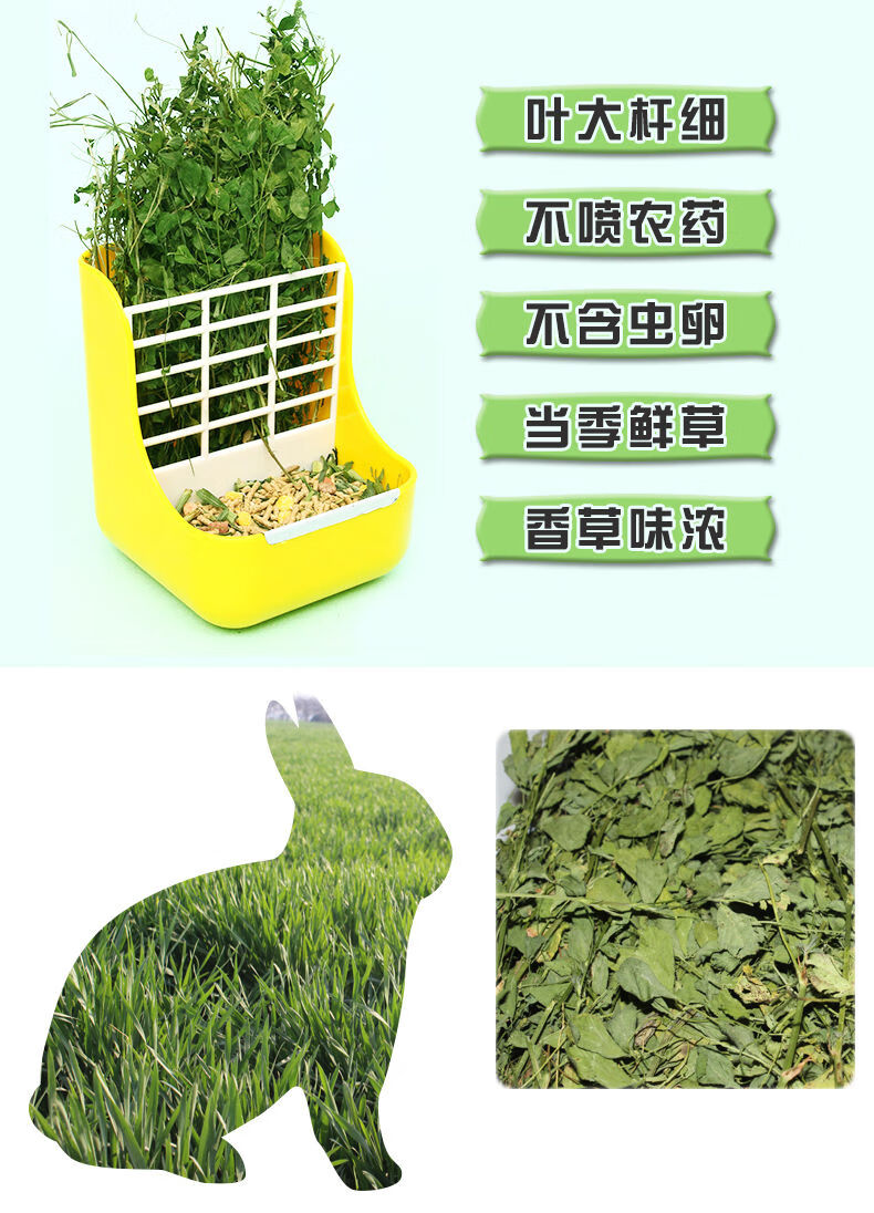 紫花苜蓿草干草饲料幼兔兔子草龙猫草荷兰猪草草粮牧草兔粮苜宿草 新