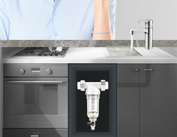 日丰前置过滤器qz101一代反冲洗自来水家用全屋净水机蓝瓶定向20或4分