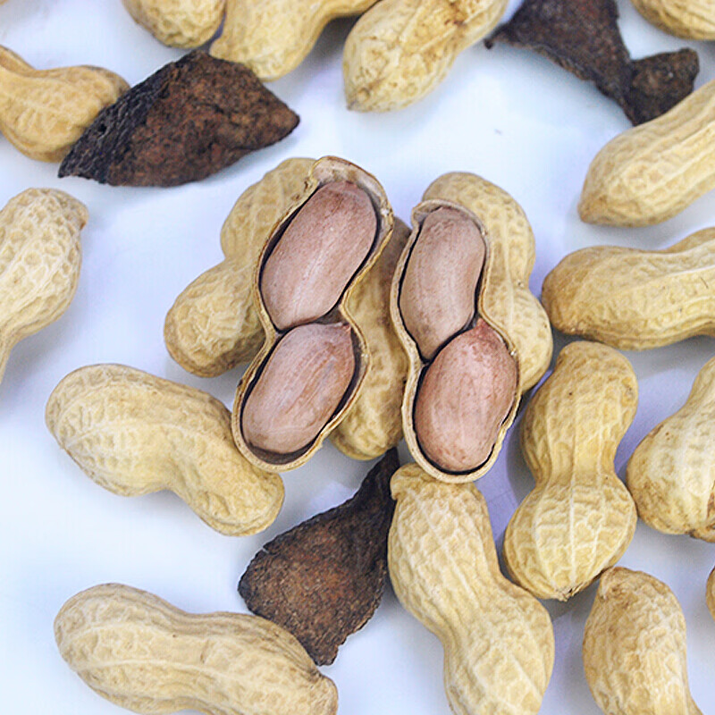 广东新陈皮花生新会特产核桃味小珍珠带壳晒干盐咸香脆花生 陈皮味
