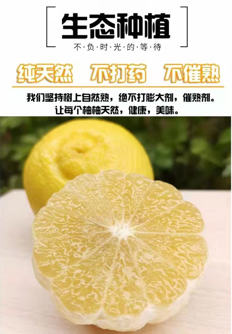 龙觇怀化洪江黄金贡柚象山青新鲜水果湖南小柚9斤礼品特大果85mm以上5