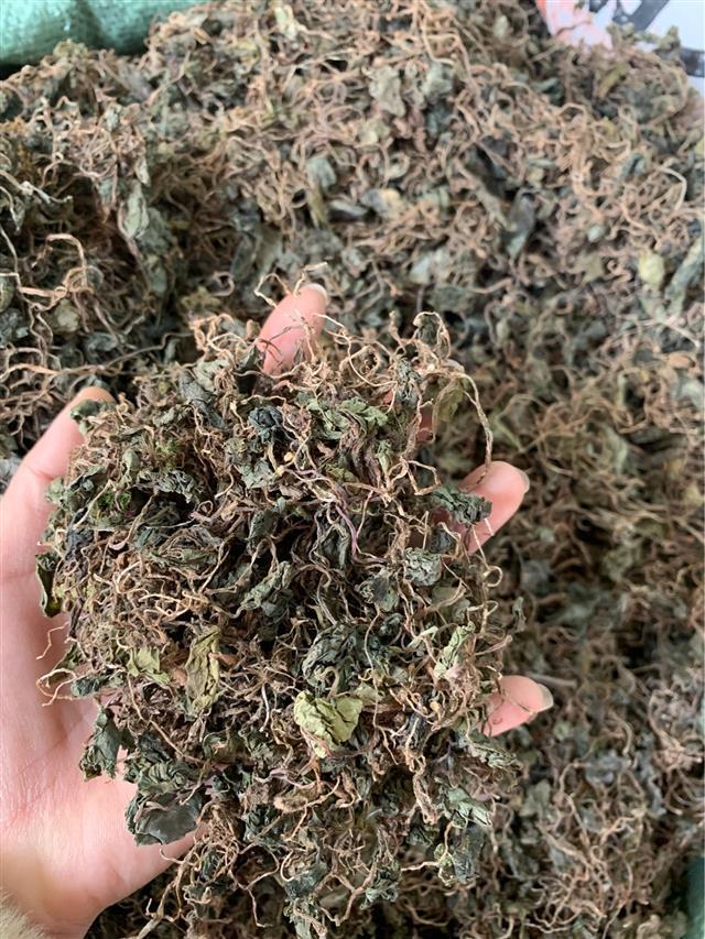 青天葵500g中药材独脚天揆珍珠叶半边伞坠千斤新款青天葵