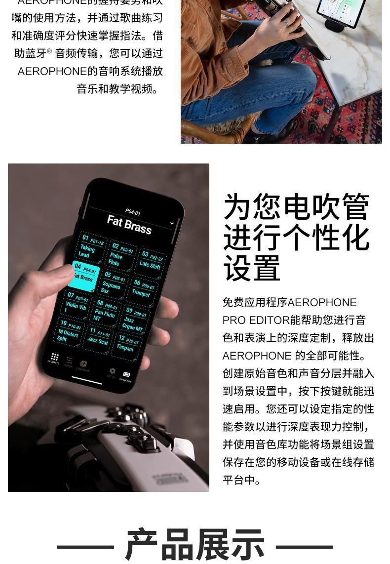 罗兰电吹管ae20电子黑管乐器ae20电萨克斯ae10升级款定制款ae20官方