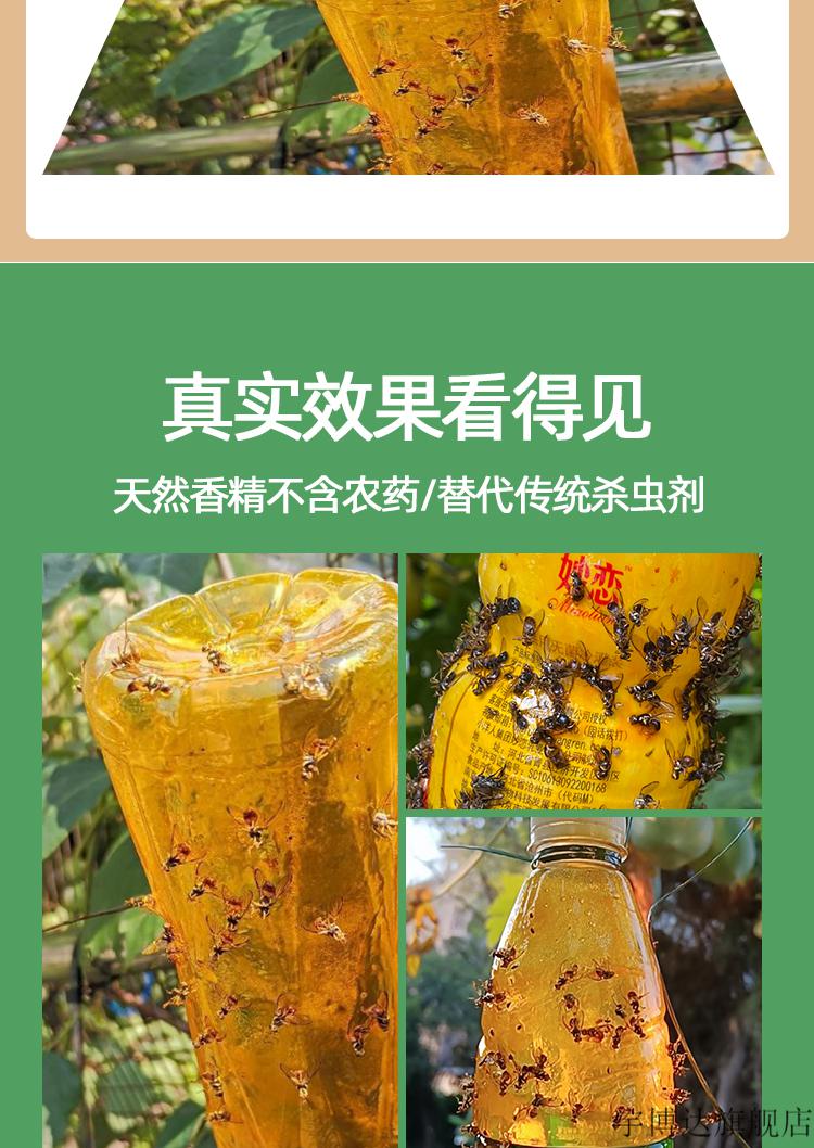 果蝇诱捕器瓜果实蝇诱粘剂果园果树菜地昆虫粘板引诱剂针蜂杀虫剂