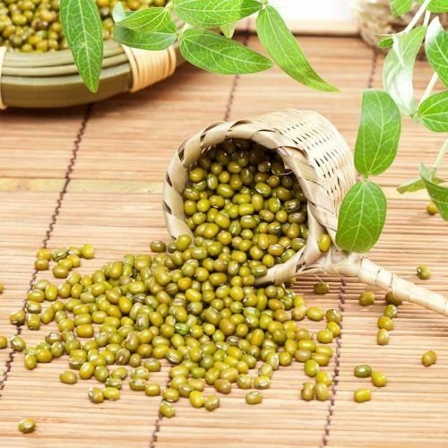 苏北绿豆凉粉 灌云凉粉特产农家手工制作 灌云正宗绿豆凉粉3斤【图片