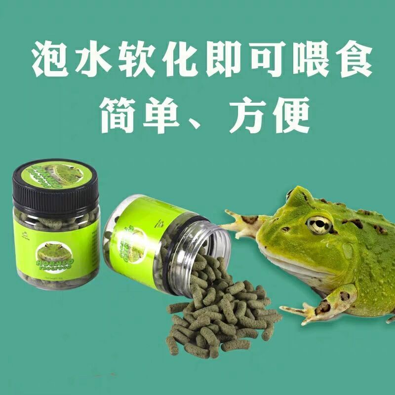 搭啵兔角蛙饲料粮蝌蚪黄金角蛙绿角蛙钟角蛙活物宠物蛙青蛙活体小型