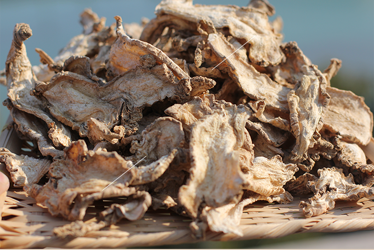 晓楚仁山海螺新鲜野生羊乳根四叶参无硫 干货中药材奶参苗500克散装