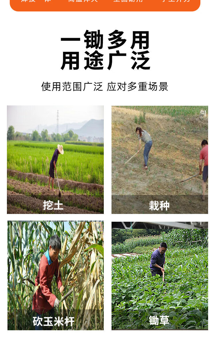 d60f389b-f0d7-445e-be39-40cf63713db9.jpe