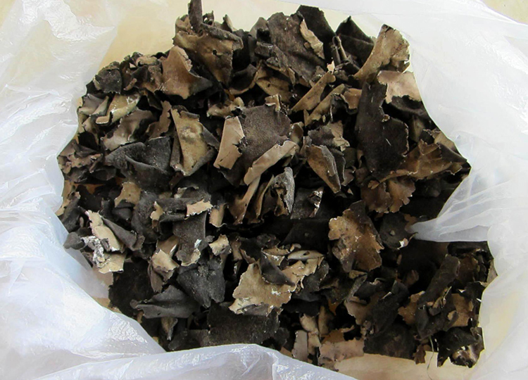 伟博 张家界土特产岩耳 石耳 250g 土家珍品 舌尖上的美味【图片 价格