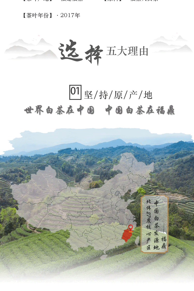 倾城香福鼎白茶2017年贡眉白茶原产地日晒高山老白茶寒露