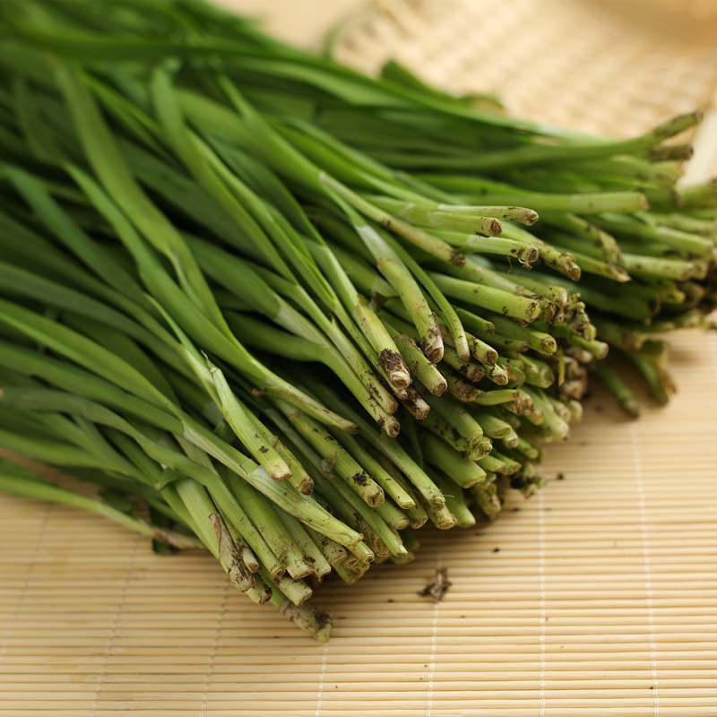 东北新鲜韭菜头茬头刀蔬菜农家露天三鲜馅包饺子现摘割鲜嫩净重3斤现