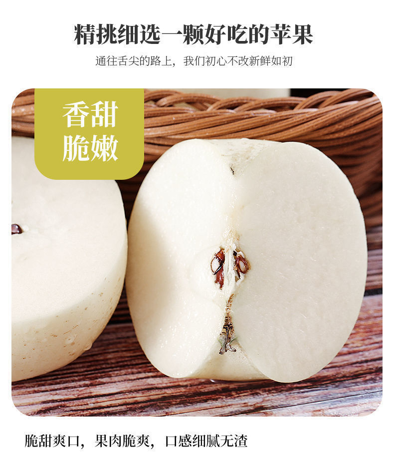年货精选冰糖心奶油苹果爆甜牛奶苹果黄金奶油富士苹果现摘现发新鲜好