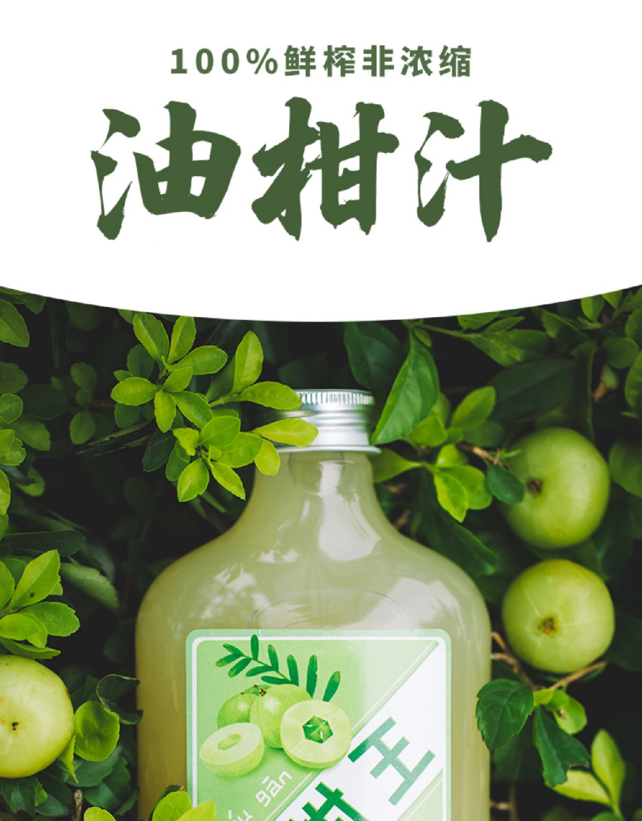 油柑饮料肇泉油柑果汁多规格霸气玉油柑王余甘汁冷冻油柑饮料柠檬油甘