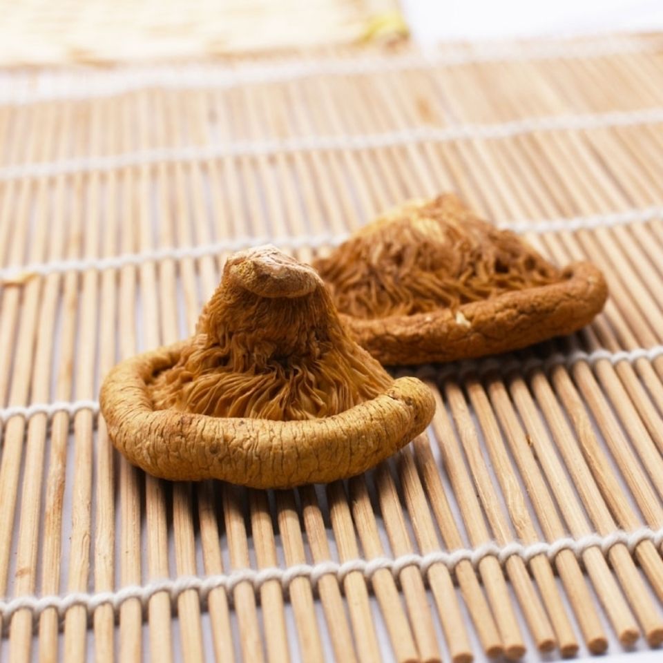 新货东北元蘑肉厚干货长白山特产农冻蘑小鸡炖蘑菇 250g【半斤装】