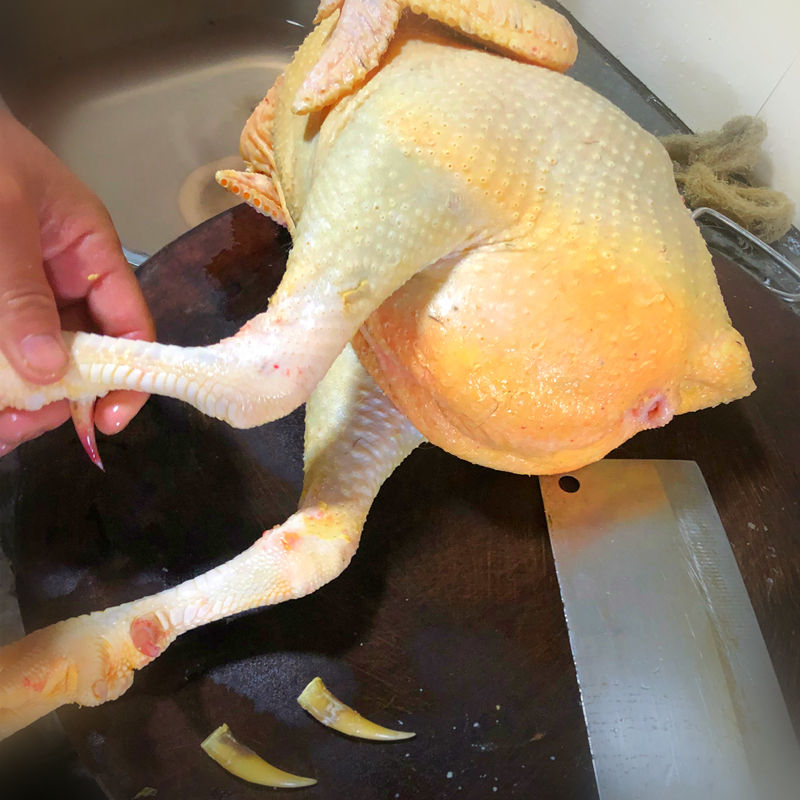 新鲜现杀正宗农家散养走地土鸡大阉鸡扇线鸡三黄老母鸡清远麻鸡项500