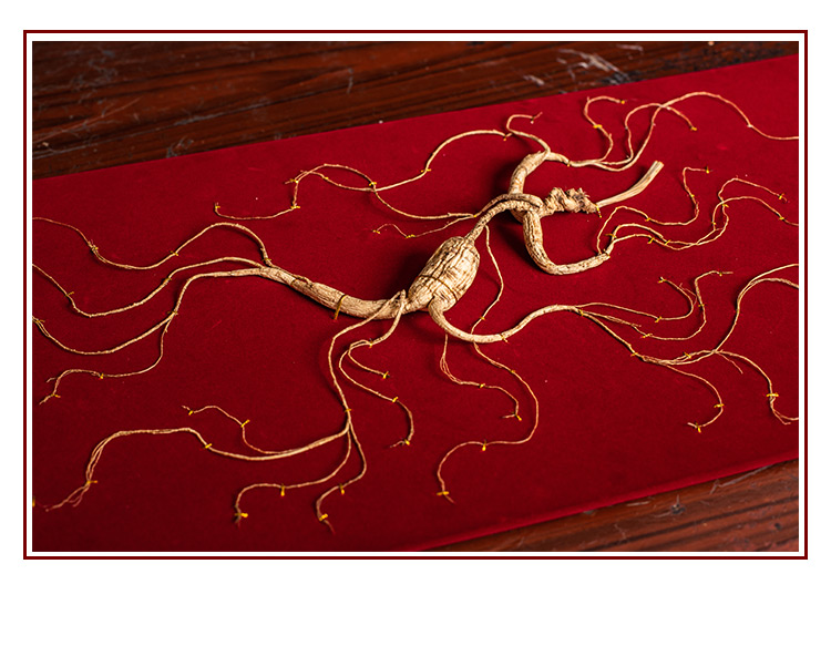 灵阳参野山参长白山林下参野生一等品鲜人参礼盒带证书人叁椮正品 60