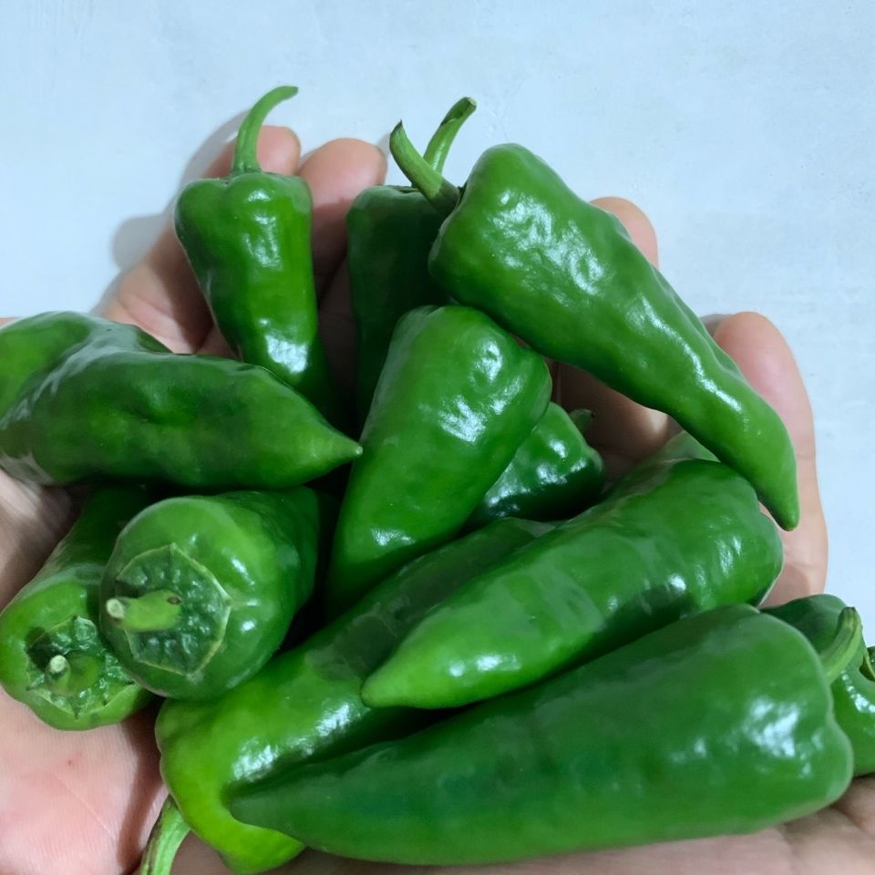 余干椒 新鲜小辣椒农家现摘蔬菜 2斤【图片 价格 品牌 报价】-京东