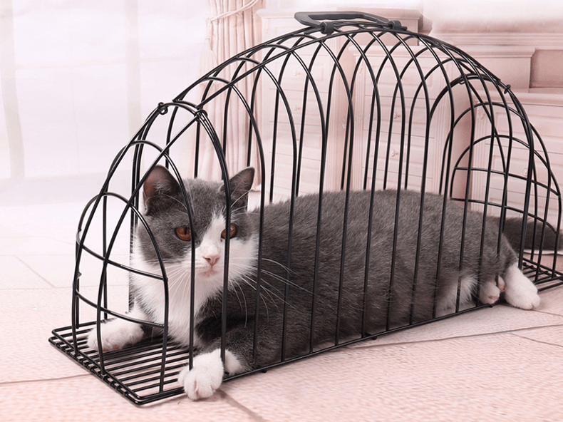 大号宠物笼子洗猫笼洗澡盆吹风/剪指甲/抓/咬神器/绝育/外出手提笼 55