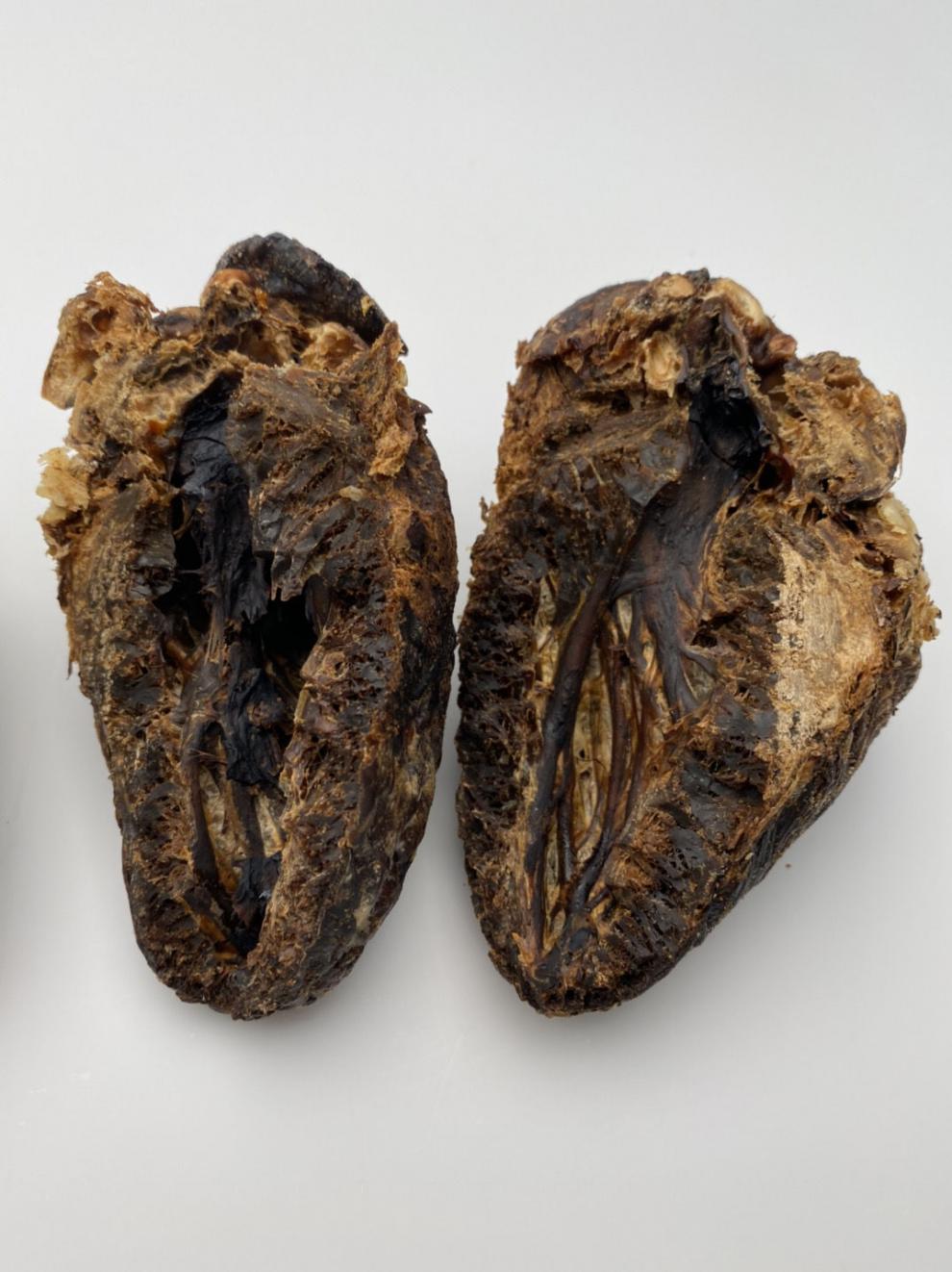 正宗梅花鹿心干鹿心磨粉丰富鹿心血产地直供保养心脏滋补煲汤泡酒整个