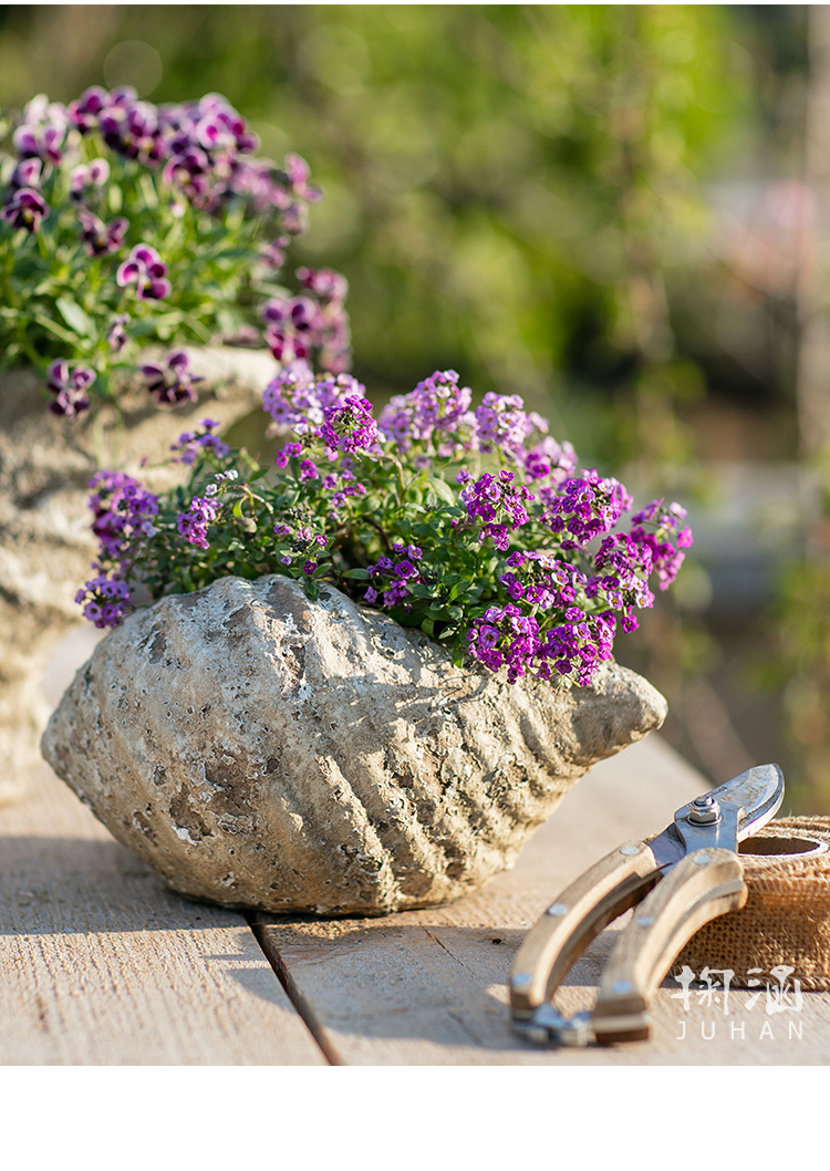 掬涵个性贝壳海螺花盆复古多肉植物盆透气陶盆铜钱草绿萝盆贝壳花器