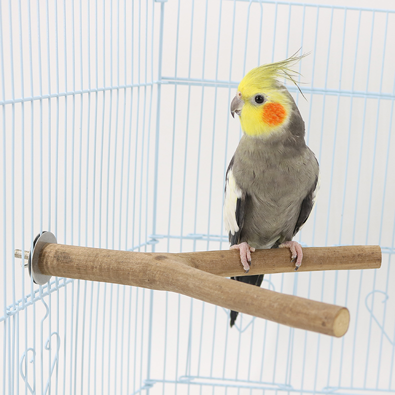宠儿新家天然树杈站棍 磨爪棒栖 鹦鹉鸟站杆鸟笼鸟站棍站杠鸟栖木