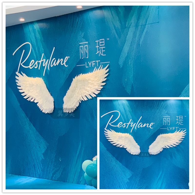 天使羽毛白色翅膀打卡道具小红书失恋抖音网红墙拍照奶茶背景装饰定制