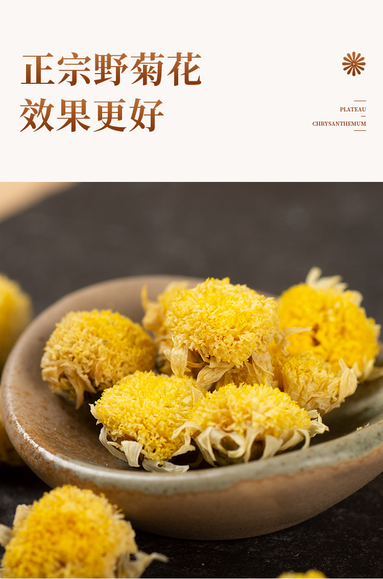 中药材野菊花干四川阿坝高原野菊花药用特级野菊花泡茶100g【图片