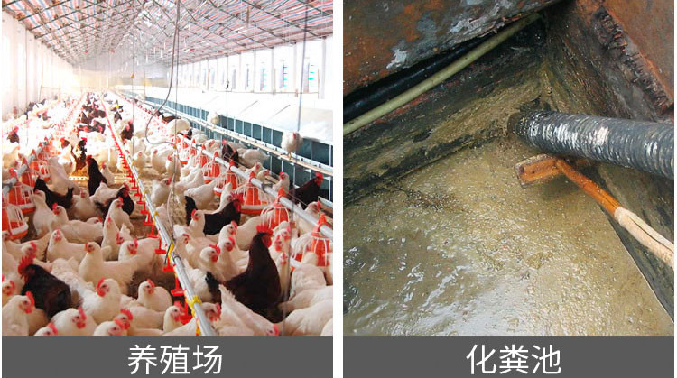 自吸化粪池污水泵沼气池抽渣泵猪场吸粪机专用养殖场抽粪泵cf2020寸泵