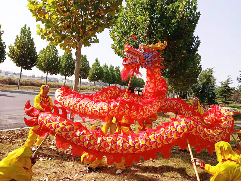 临尘舞龙舞狮密度绸布龙道具婚庆节日舞龙表演用品全套 舞龙服饰 13节