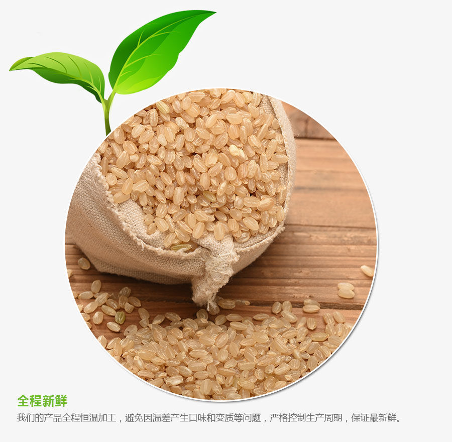 20年新米东北糙米5斤黄糙米农胚芽米粗粮饭发芽米糙米饭健身餐5斤