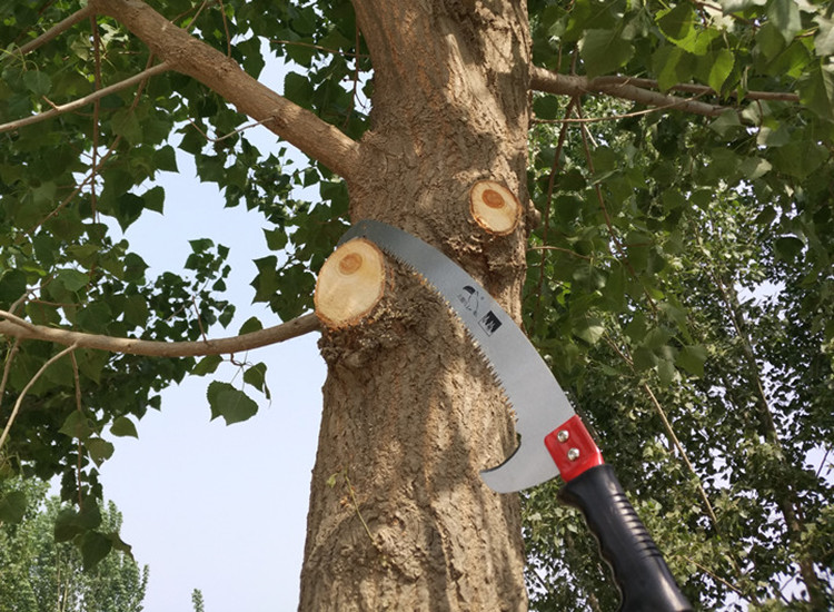 赤红定制多功能手锯高枝锯高空锯3米5米修枝园林果树锯子园艺果树锯