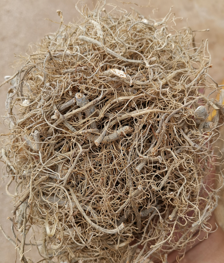 文山特产三七须根炖鸡三七根特级根毛田七头大根水洗晒干500g三七根