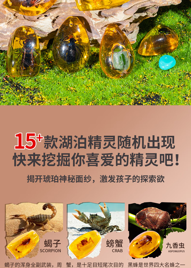 15efa3987189f5e8.jpg