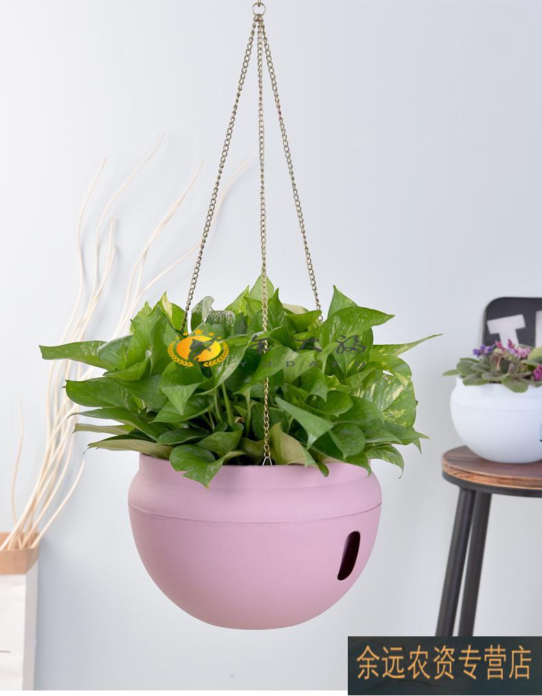花盆吊篮多肉吊兰塑料垂挂花盆懒人自吸水阳台吊盆室内外绿萝树脂悬挂