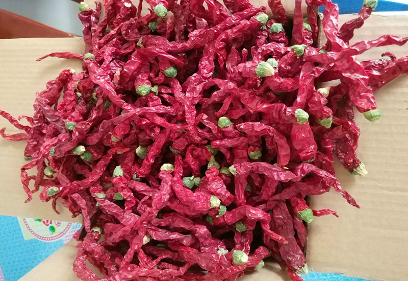 陕西秦椒500g香而不辣兴平特产农家皱皮红线椒秦椒微辣特香辣角