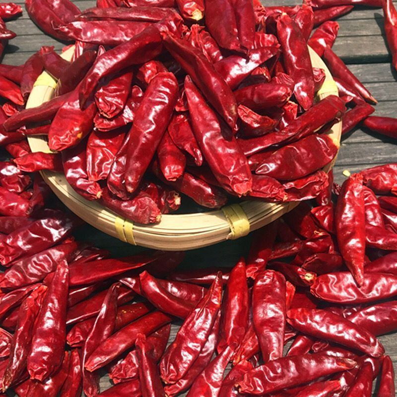 超干新货辣椒干干辣椒批发朝天椒干辣椒特辣贵州特辣辣椒段2斤干辣椒