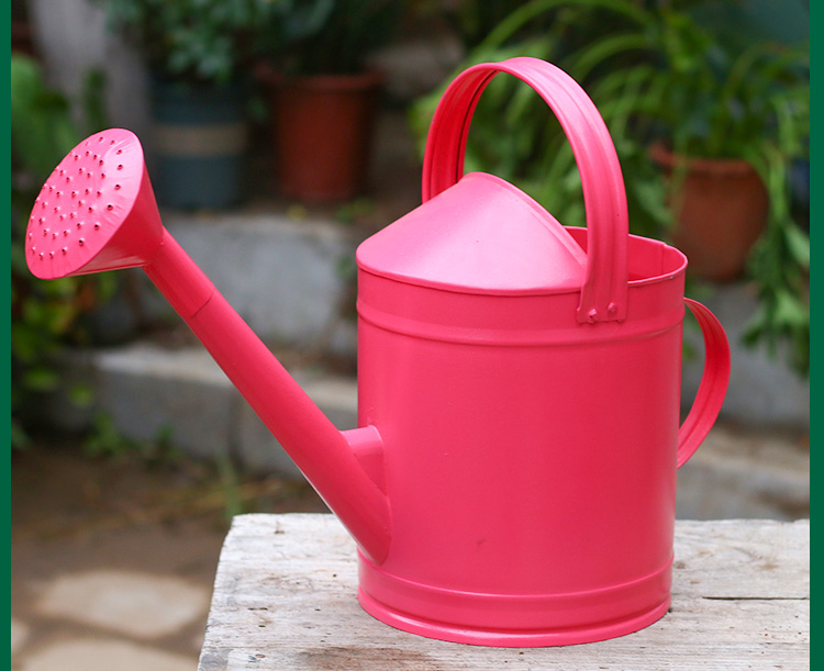 洒水壶不锈铁皮家用浇菜浇花水壶淋花喷壶浇水壶大容量洒水桶7l加厚不