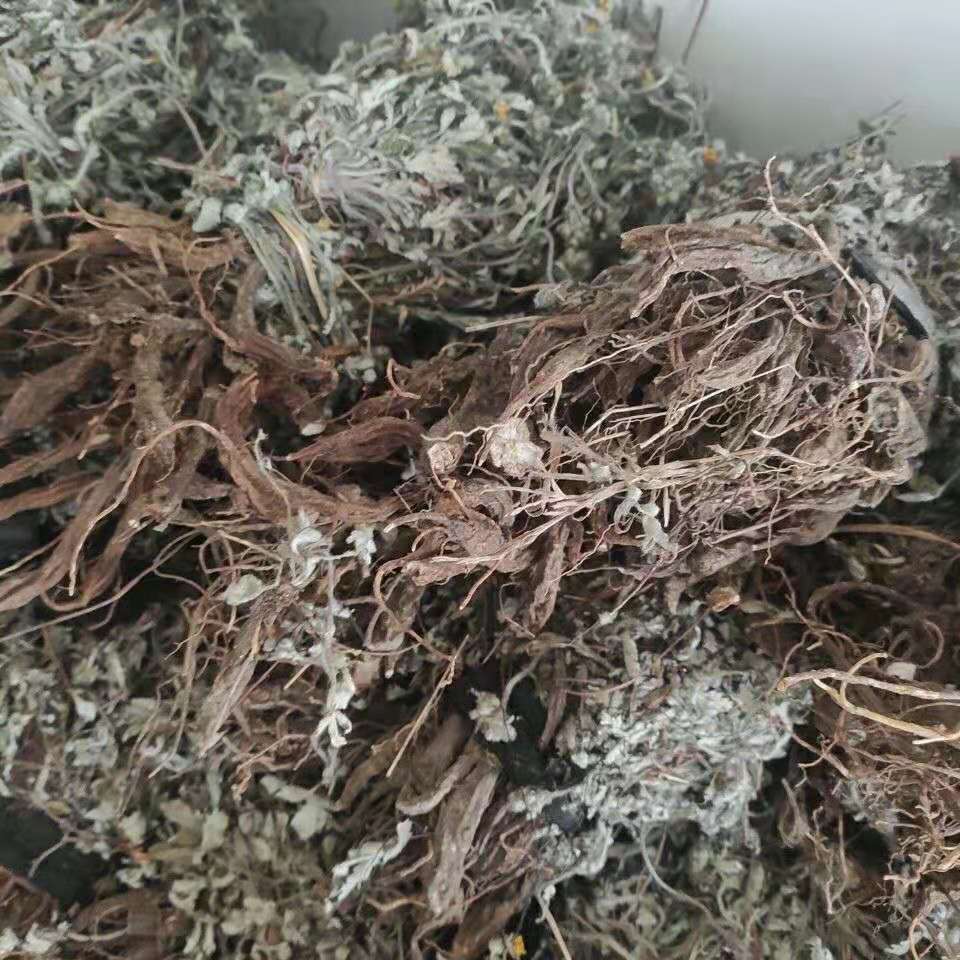 北京同仁堂原料翻白草野生降糖干品新鲜整棵翻白草茶中草药番白草全草