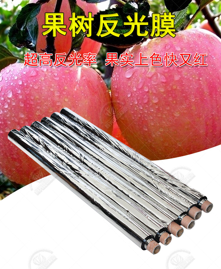 农用果树反光膜果园苹果地葡萄专用反光上色双面增色大棚增温地膜宽1