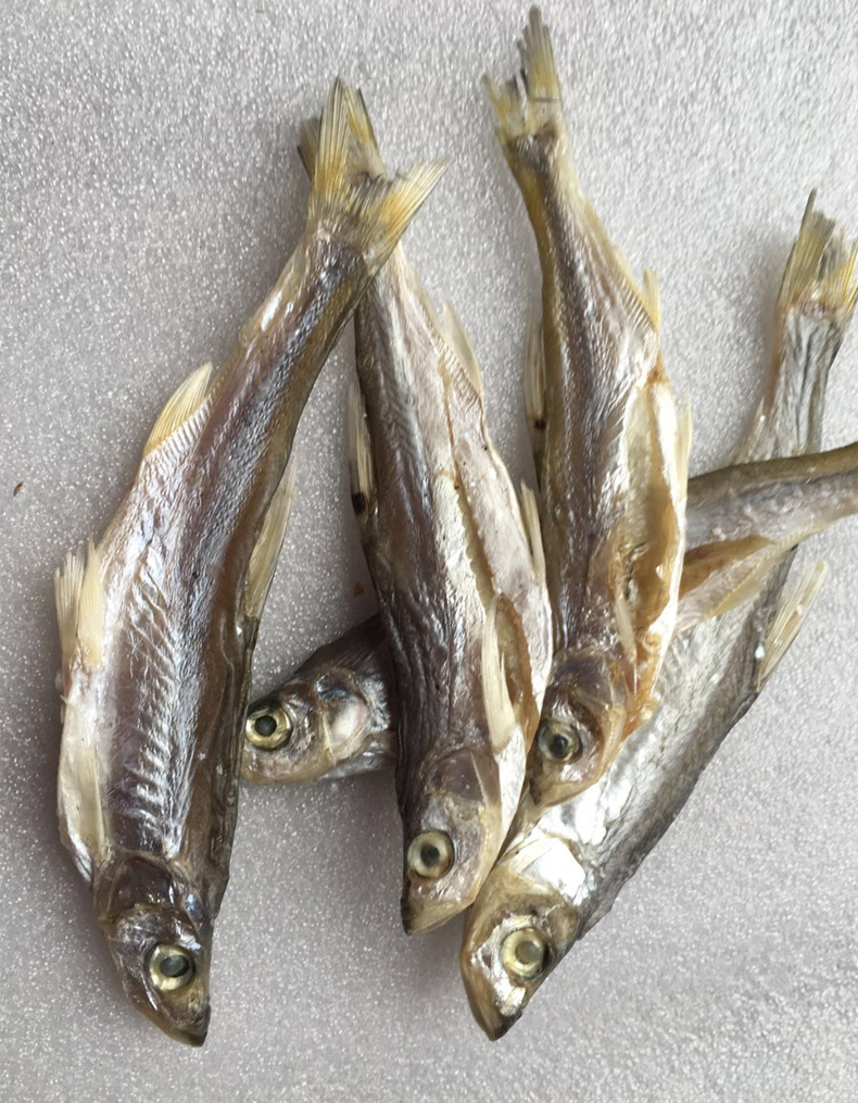 翘嘴鱼干安徽咸小鱼干小毛鱼小河鱼白刀鱼刁子鱼餐条咸鱼干货2月28日