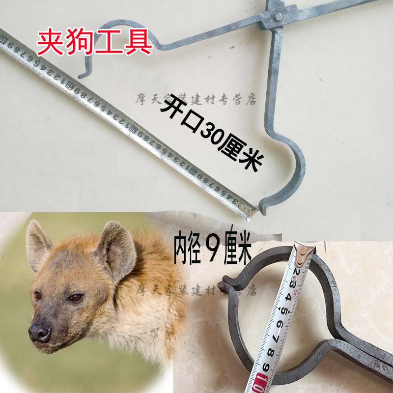 捕狗神器制作方法图片