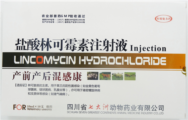 盐酸林可霉素注射液兽用兽药牛羊咳嗽呼吸道猪产后消炎产后混感康100