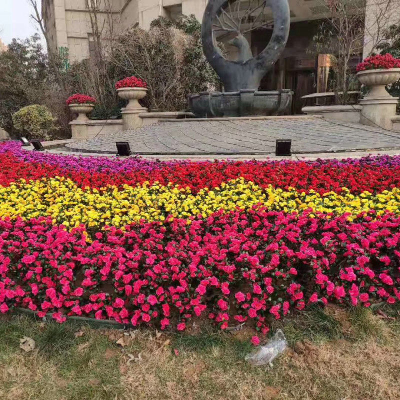 园艺 仿真杜鹃花软装绿化带花箱室外塑料假花绢花学校摆设装饰品