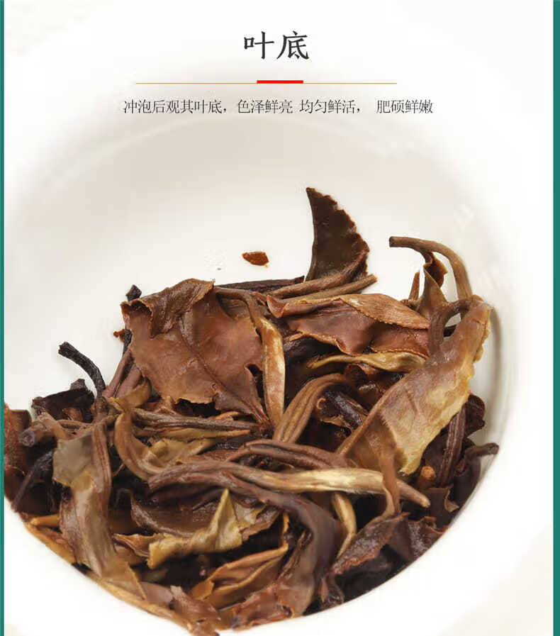 雲南白茶普洱景谷大白茶月光白生茶月光美人早春茶357g七子餅茶生態級