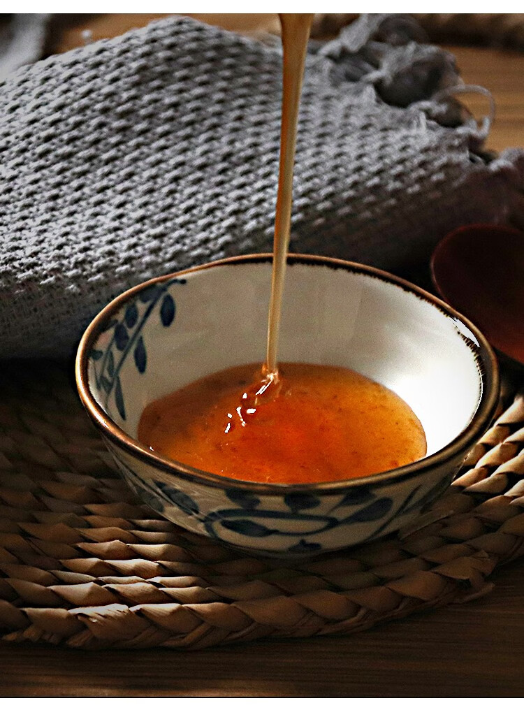 辉导 广东潮汕特产冰梅酱280g/瓶冰花酸梅酱青梅酱叉烧烧鹅烤鸭商用