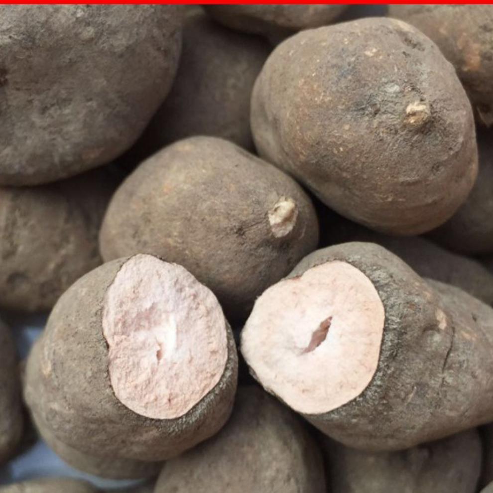 浙江三叶青新鲜小儿退烧猴子紫藤干果三叶青片500克