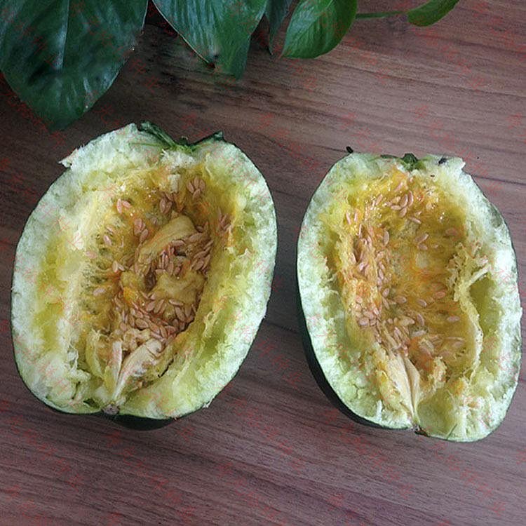 老品种面瓜种籽面瓜种子露地生吃甜瓜香瓜四季青皮面瓜120粒原装